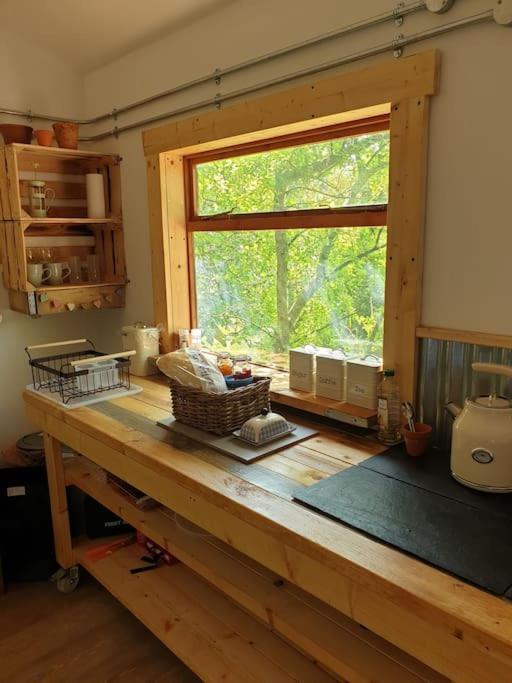 The Potting Shed Near Tenby, 100" Projector, Four Poster Bed, On-Site Hot Tub Access Via Spa Pack, Breakfast Zewnętrze zdjęcie